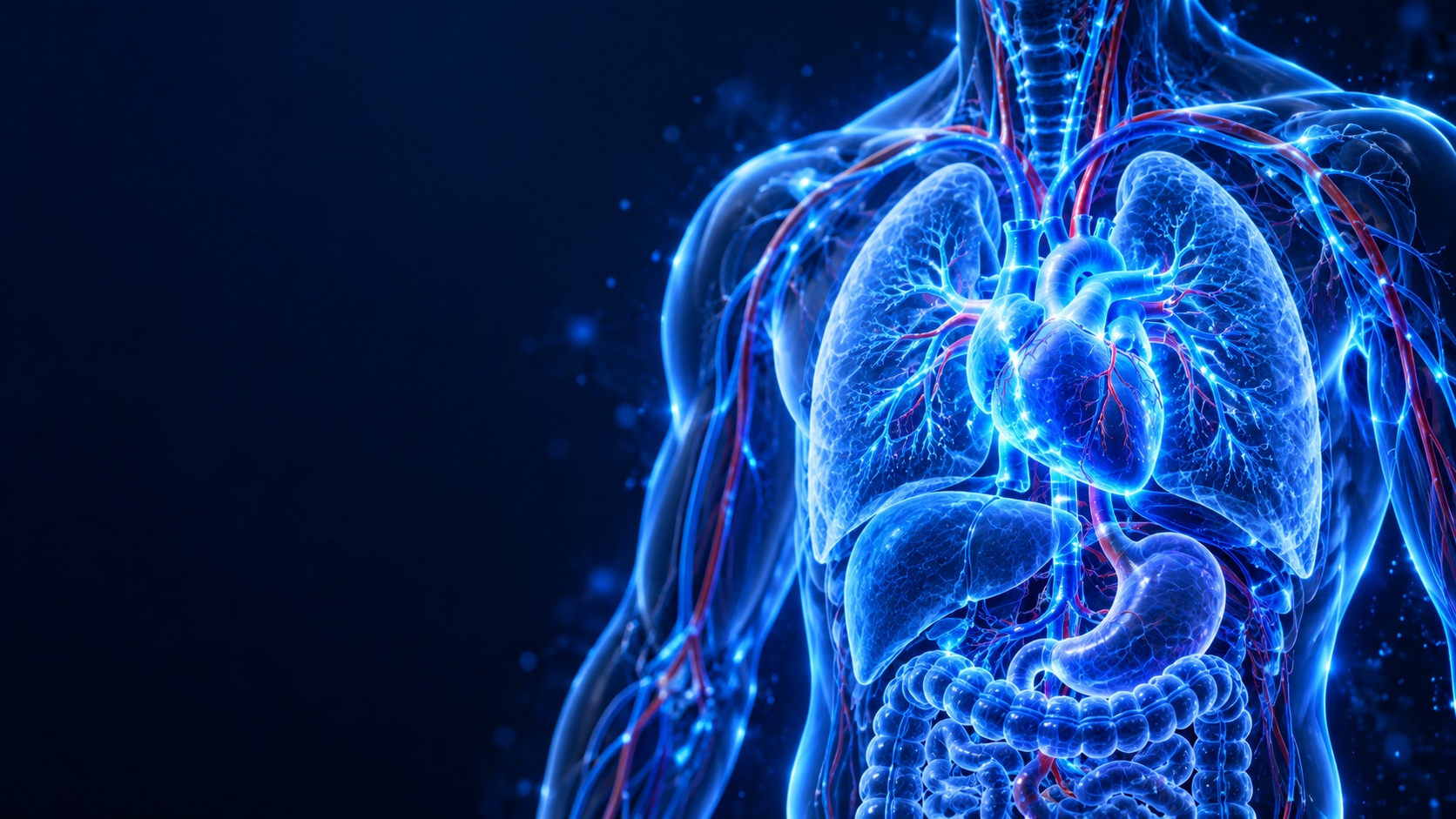 Fisiologia Humana